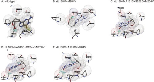 Figure 4. Three dimensional structures of the entecavir triphosphate-binding domains of viral reverse transcriptase (RT). The effects of ETV-resistance mutations on the binding ability of HBV RT to ETV-TP were evaluated using a homology model constructed based on the crystal structure of HIV RT. The binding domains of a wild-type and four individual mutants are presented in the order of A, B, C, D, and E. Spheres represent HBV molecular surfaces. Green dot lines represent hydrogen bonds, and yellow net represents pi-cation interaction.