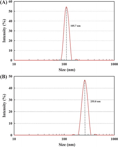 Figure 2. Particle size distribution of (A) FC-NPs and (B) CFC-NPs.Figura 2. Distribución granulométrica de (A) FC-NPs y (B) CFC-NPs.