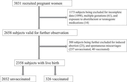 Figure 1. The process of study cohort formation from the recruited pregnant women.