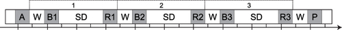 Figure 1 Schematic of the 12-day, 11-night, laboratory study protocol. After an adaptation night (A), subjects underwent 3 iterations (numbered dotted boxes) of a 12 h waking period (W), a baseline night (B), a 36 h period of total sleep deprivation (SD), and a recovery night (R), which was followed by a final 12 h waking period and a final predeparture recovery night (P). All eight sleep opportunities (gray) were PSG-recorded and involved 12 h time in bed (22:00–10:00). Tick marks are at 12 h intervals; extended tick marks indicate midnight. Figure adapted from Tucker et al (2007).