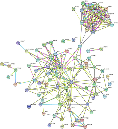 Figure 5 Protein–protein interaction networks analysis. The network construct from the top 150 DEGs. The nodes represent proteins. Edges stand for protein–protein associations. The disconnected nodes in the network were hided.
