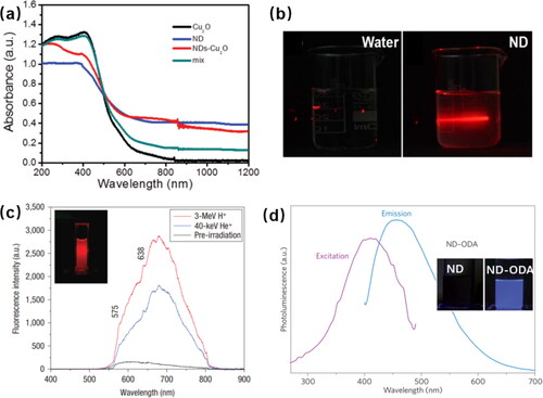 Figure 1. The optical properties of NDs: (a) UV–vis absorption spectra of Cu2O, NDs, NDs-Cu2O, and physical mixture of NDs and Cu2O [Citation19]. (b) The scattering effect of the NDs in water solution [Citation39]. (c) Fluorescence spectra of NDs suspended in water. Inset: Fluorescence image of NDs suspension excited by 532-nm laser light [Citation2]. (d) Excitation monitored at 450 nm emission (1) and emission at 410 nm excitation (2) spectra of ND-ODA dispersion in dichloromethane; photographs of ND and ND-ODA dispersions in dichloromethane with UV (365 nm, lower row) illumination [Citation3].