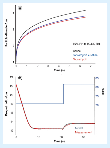 Figure 4. Dynamic behavior of pharmaceutical aerosol prior to, and during, inhalation. (A) A simulation of the time-dependence of the size of particles of varying composition during condensation following a step change in relative humidity. (B) A comparison of the kinetics of particle size change during initial equilibration of an aqueous sodium chloride solution droplet following injection into a gas phase of lower RH than the starting water activity in the droplet, followed by condensation of water once the relative humidity is increased. The measurements were made with an EDB detailed in our previous work [Citation10,Citation34]. The model parameterization includes a quasi-steady analytical treatment of the coupling of heat and mass transport during water evaporation or condensation [Citation34,Citation39,Citation41].EDB: Electrodynamic balance; RH: Relative humidity.