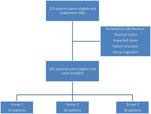 Figure 1. The flow of participants through the study.