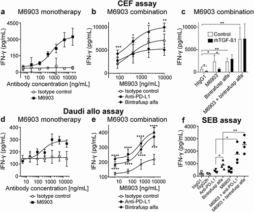 Figure 3. M6903 increased T cell activation as a monotherapy or in combination with bintrafusp alfa in three different in vitro assays. a-c) CEF assay – PBMCs were treated with 40 μg/mL CEF viral peptide pool and cultured (a) in the presence of serial dilutions of M6903 or isotype control, (b) in the presence of serial dilutions of M6903 combined with either 10 μg/mL isotype control, anti-PD-L1, or bintrafusp alfa, or (c) with 2 ng/mL rhTGF-β1 or without rhTGF-β1 (termed ‘control’) in the presence of hIgG1 isotype control (10 μg/mL), bintrafusp alfa (10 μg/mL), or a combination of M6903 and bintrafusp alfa. IFN-γ levels in the supernatant were measured via ELISA after 4, 6, or 4 days, respectively. (a-b) Non-linear regression analysis was performed and mean and SD are presented; results were calculated from multiple experiments. (b) *p ≤ 0.05, **p ≤ 0.01, and ***p ≤ 0.001 denote significant differences between bintrafusp alfa and isotype control groups. (c) T-tests were performed and mean and SD are presented. *p ≤ 0.05, **p ≤ 0.01 denotes significant difference between treatment groups. d-e) Daudi allogenic one-way MLR assay – irradiated Daudi cells and human T cells were co-cultured with (d) serial dilutions of M6903 or isotype control or (e) serial dilutions of M6903 combined with either 10 μg/mL isotype control, anti-PD-L1, or bintrafusp alfa. IFN-γ levels in the supernatant were measured via ELISA. Non-linear regression analysis was performed and mean and SD are presented; results were calculated from multiple experiments. (e) ***p ≤ 0.001 and ****p ≤ 0.0001 denote significant differences between anti-PD-L1 or bintrafusp alfa and isotype control groups. (f) SEB assay – Human PBMCs were treated with 100 ng/mL SEB in the presence of 10 μg/mL M6903 or isotype control alone or in combination with anti-PD-L1 or bintrafusp alfa for 9 days; the cells were then re-stimulated with SEB and the same antibodies. After 2 days, IFN-γ levels in the supernatant were measured via ELISA. T-tests were performed with Welch’s correction, and mean and SD are presented. *p ≤ 0.05, **p ≤ 0.01 denotes significant difference between treatment groups