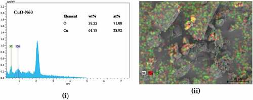 Figure 3. Continued