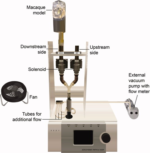 Figure 1. Photo showing the components of the experimental setup.