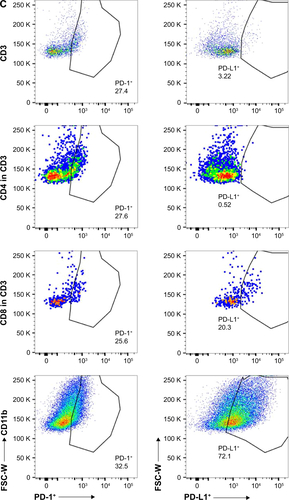 Figure S1 PD-1 and PD-L1 expression analysis in 4T1 mammary tumor tissues. (A) PD-1 and PD-L1 protein expressions were assessed in 4T1 mammary tumor homogenates. (B) Immunohistochemical analysis of PD-1 (a) and PD-L1 expression (c) in 4T1 mammary tumors. (b and d) IgG isotype staining served as a negative control for PD-1 and PD-L1. Scale bar =100 µm. (C) PD-1+ and PD-L1+ cell populations in TILs as determined by FACS (n=3).Abbreviations: FACS, fluorescence-activated cell sorting; TILs, tumor-infiltrated lymphocytes.