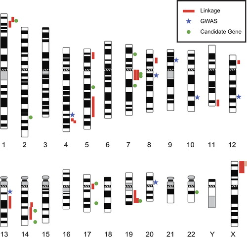Figure 1. Genetic map of intracranial aneurysm loci. Red vertical lines adjacent to the chromosome ideograms indicate regions identified by DNA linkage studies (Table I), pale red vertical lines indicate support for a region that arises from a family linked to two loci, blue stars indicate locations of SNPs found in genome-wide association studies (Table III), and green round symbols indicate locations of SNPs found in candidate gene association studies (Table II). The ideograms can be obtained from ‘Idiogram Album: Human’ (copyright© 1994 David Adler, University of Washington, Department of Pathology) at http://www.pathology.washington.edu/research/cytopages/idiograms/human/.