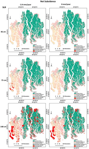 Figure 7. Image showing inundation areas under future SLR scenarios overlayed with the current mangrove species distribution. The inundation and surrounding areas are likely to see the largest changes in species composition as mangrove species flourish or decline due to changes in salinity levels and ecological conditions, as well as their ability to adapt. Source: Author.