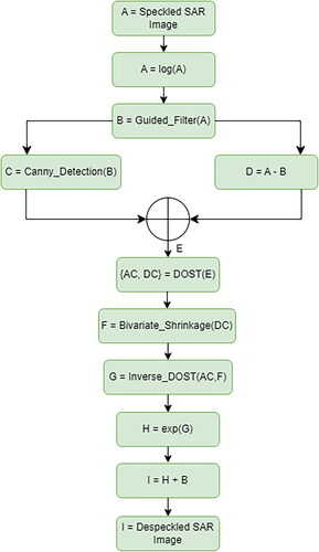 Figure 1. Methodology framework of SAR image despeckling.