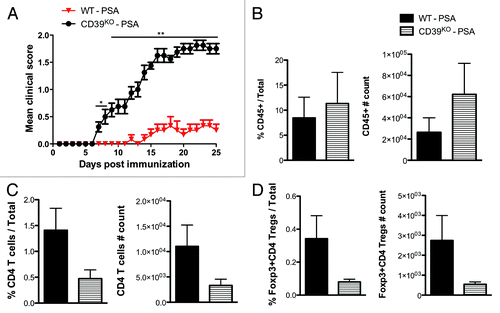 Figure 4. CD39 signaling is required for the reciprocal control of total leukocytes and CD4 Tregs accumulation in the CNS during PSA prevention of EAE. Wild-type and CD39KO C57BL/6 mice were orally treated with 100 μg of PSA every 3 d from day -6 to day +9 of the induction of sub-optimal active EAE. (A) EAE clinic scores were monitored till day 25. Depicted are the combined results of two independent experiments (n = 8, per group). *, P < 0.05; **, P < 0.01 (Mann-Whitney U-test). (B-D), CNS-infiltrating immune cells were harvested from mice of day 18 sub-optimal EAE and analyzed by flow cytometry. (B) Frequencies and absolute numbers of CD45+ leukocytes were quantified (n = 4, per group). (C) Frequencies and absolute numbers of CD4 T cells (n = 4, per group). (D) Frequencies and absolute numbers of Foxp3+ CD4 Tregs (n = 4, per group).
