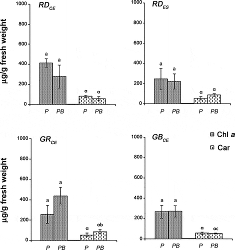 Fig. 6. Chlorophyll a (Chl a) and carotenoid (Car) concentrations of four strains of G birdiae. Data were obtained from algae cultivated in different conditions: photosynthetically active radiation, PAR (control), P; and PAR+UV-B (0.08 Wm-2), PB. Data presented as mean ± SD (N = 3). Treatments with different letters indicate significant differences according to one-way ANOVA and Newman–Keuls test (P < 0.05).