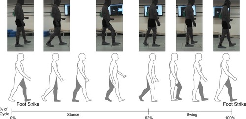 Figure 2 The gait experiment of the hemiplegic patient, one gait cycle = foot strike–strike (affected side).