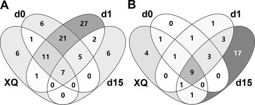 Figure 4. Venn-diagram of microbial community in fermented grains. Bacteria (A) and fungi (B). Venn diagram threshold >0.05%; n = 2.