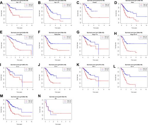 Figure 7 The survival differences between high- and low-risk GC patients stratified by clinicopathological characteristics. (A–N) The difference in overall survival stratified by age (< 65 and ≥ 65), gender (female and male), grade (low grade and high grade), tumor stage (stage I+II and stage III+IV), T stage (T1+2 and T3+4), N stage (N0+1 and N2+3), M stage (M0, M1) between two groups.