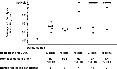 Figure 7. Comparative analysis of various ROCK® antibody formats regarding NK fratricide in vitro. In vitro calcein-release cytotoxicity assays of enriched primary human NK cells in the presence of different ROCK® antibody formats toward autologous NK cells after 4 h co-incubation at an E:T of 1:1. Mean EC50 values of several independent experiments are summarized and plotted as individual dots. The ROCK® antibody formats are categorized based on the position of the anti-CD16 domain and the format/domain order. Only constructs containing the high affinity anti-CD16 domain and silenced Fc are included in the graph. HL: scFv domain order VH-VL, LH: scFv domain order VL-VH. N-term. = N-terminal, C-term. = C-terminal.