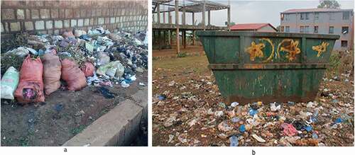 Figure 4. Current solid waste transfer station of Dilla town, Southern Ethiopia.