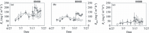 Figure 9 (a,b) CO2 fluxes from the surface of the O-layer (Rs), (d,e) respiration from the surface of the O-layer (Rmw), (g,h) root respiration (Rr), (j,k) microbial respiration rate in the O-layer (Rmo) and (c,f,i,l) normalized Rs, Rmw, Rr and Rmo plotted against soil temperature at a depth of 10 cm (a,d,g,j) and moisture at the 0–10 cm depth (b,c,e,f,h,i,k,l). Open and closed circles indicate data from the non-irrigated and irrigated plots before irrigation and open and closed triangles indicate data from non-irrigated and irrigated plots during irrigation. †P < 0.1; *P ≤ 0.05; **P < 0.01; ***P < 0.001. Error bars indicate the standard error of each parameter.