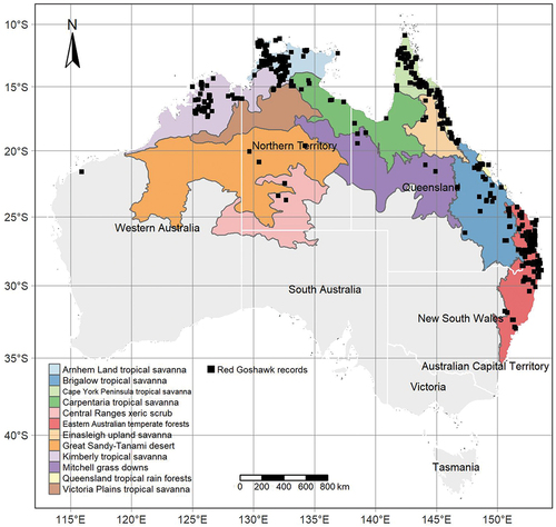 Figure 1. Map of Red Goshawk occurrence records between 1978 – 2020 and respective Australian States, Territories, and Ecoregions used in this analysis.
