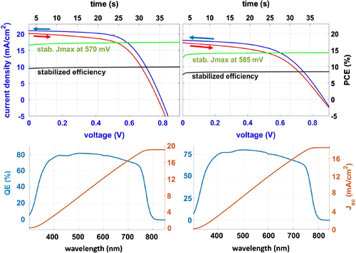 Figure 7. Representative example of JV curves of devices in forward (from low to high voltage) and reverse scan with stabilised current and PCE measured for 40 s. EQE spectra of the devices are shown.