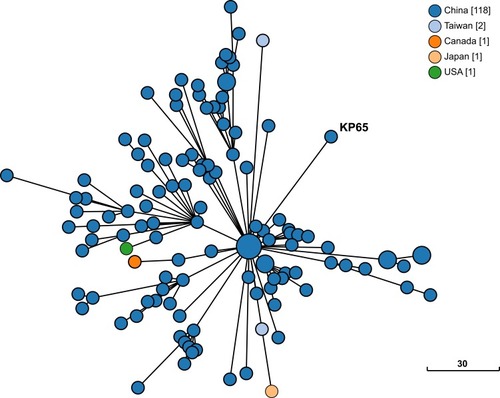 Figure 2 Phylogenetic relationship between K. pneumoniae strain KP65 and closely related K. pneumoniae strains currently available in BacWGSTdb. Clonal relationships between different isolates are depicted by the line length connecting each circle. The numbers given in square brackets indicate the number of isolates from each country.