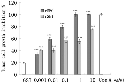 Figure 6. Effects of rSEG and rSEI on inhibition of proliferation of K562 cells by MTT assay. Compared with the negative control group: ***p < 0.001.