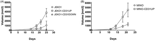 Figure 3. Tumor growth acceleration after SC xenotransplantation of CD31UP clones compared to original cell lines or CD31down clone displayed by tumor growth curves. (A) JEKO1, (B) MINO.