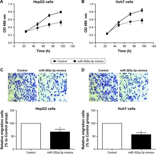 Figure 3 Effects of miR-302a-3p on the tumoral phenotypes of HCC cells.