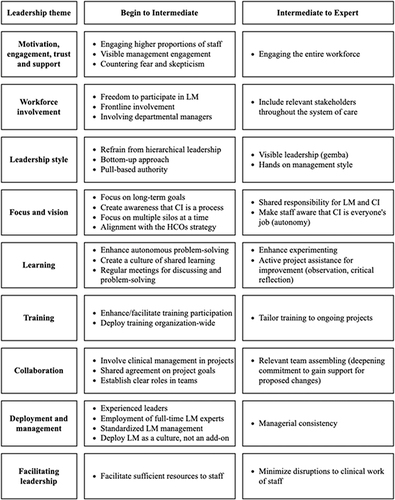 Figure 3 Lean Maturity Framework.