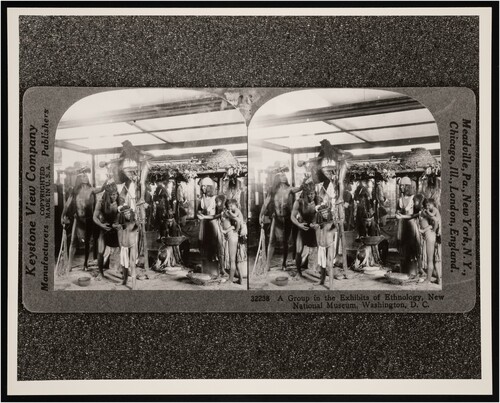 Figure 7. Stereograph (front) of family group of Cocopah Indians, ethnology exhibits in the ‘New National Museum’ now known as the National Museum of Natural History. Image most likely dates to around 1910, which was the date of the opening of the United Stated National Museum (USNM) building. Smithsonian Institution Archives, Record Unit 95, Box 44, Folder 01, Image No. SIA_000095_B44_F01_022