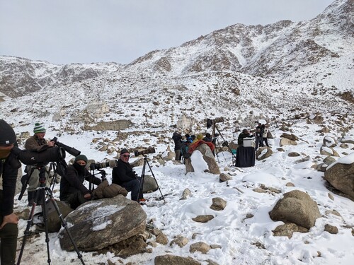 Figure 3. Tourists waiting to capture images of the elusive snow leopard in Ladakh. Photo by Jigmat Lundup.
