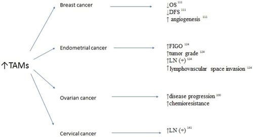 Figure 4 Association between elevated tumor-associated macrophages (TAMS) survivals and clinicopathological features in breast, endometrial, ovarian and cervical cancers.