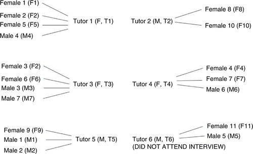 Fig. 1 Student and tutor participants in the IPA study.