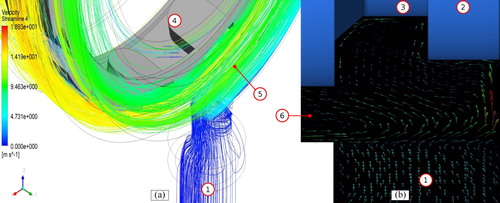 Figure 10. Projected velocity vectors and three-dimensional streamlines in the vicinity of the outboard seal.