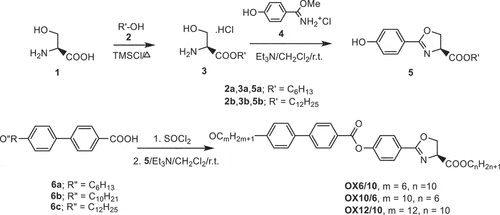 Scheme 1. Synthesis of chiral oxazolines OXm/n.