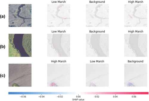 Figure 10. Three random correctly classified test images are in the first column. The second, third, and fourth columns show the pixels/features that contributed for and against classification into each of the three classes. For example, the upper-left image is a low marsh image that was predicted by the model most likely to be a low marsh, then background, then high marsh. Blue pixels represent areas that contribute against classification to a given class and red pixels represent areas that contribute toward. In this case, the Resnet-34 based network for image classification was investigated.