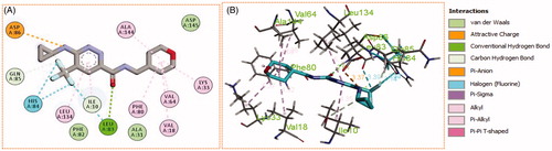 Figure 9. (A) 2D, and (B) 3D diagram for pyridazine 11l demonstrating its interactions within the CDK2 active site.