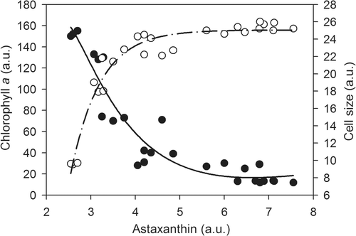Fig. 7. Correlation between chlorophyll a content (•) or cell size (○) parameters and accumulated intracellular astaxanthin in chlorophyll-rich cells during 96 h of exposure to 600 nM of paraquat. The relation between chlorophyll content and astaxanthin content was characterized by an exponential decay function (solid line; R 2 = 0.92), whereas the relation between cell size and astaxanthin content was asymptotic, characterized by an exponential rise to maximum function (dash-dot line, R 2 = 0.95). a.u., arbitrary units.