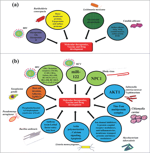 Figure 4. Host and pathogen derived targets. (A) Pathogen derived factors: The arrows indicate some of the targets from pathogenic viruses, bacteria, protozoan and fungus which may help in the development of novel molecular therapeutics, vaccines and drugs against them. (B) Host derived factors against pathogens: The arrows indicate host based targets for pathogenic viruses, bacteria, protozoan and fungus that contribute, either positively or negatively to the establishment of infections and can be targeted for discovering novel therapeutic strategies to fight against them.