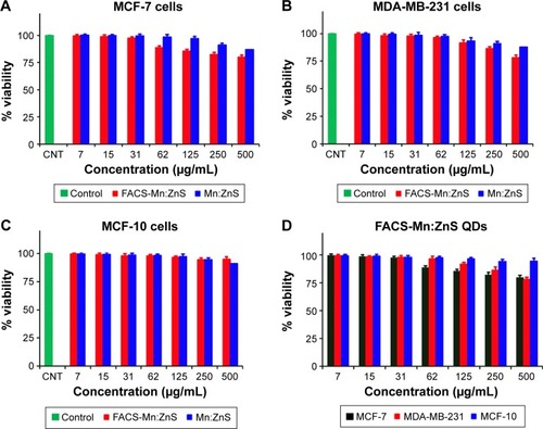 Figure 8 Comparison of the cell viability effects between Mn:ZnS and FACS-Mn:ZnS QDs toward (A) MCF-7 cells, (B) MDA-MB-231 cells, and (C) MCF-10 cells lines. The comparison of cell viability effects of all the three cell lines toward FACS-Mn:ZnS QDs is shown in (D).Note: The data shown are the mean ± standard deviation of three individual experiments.Abbreviations: FACS-Mn:ZnS, folic acid–chitosan stabilized Mn2+-doped ZnS; QDs, quantum dots; ZnS, zinc sulfate; CNT, control.