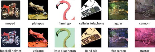 Figure 1. Classification of images by VGG-16 net. Top row: original images from Caltech 101 dataset (Fei-Fei, Fergus, and Perona Citation2004); bottom row: the same images casted by random uniform illumination.