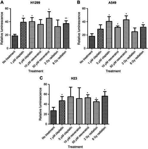 Figure 2 Synthetic CArG promoter E9NS is inducible by cisplatin, resveratrol, and radiation in NSCLC cells. H1299 (A), A549 (B), or H23 (C) cells were transiently co-transfected with a firefly luciferase construct containing nine repeats of new sequence CArG element (promoter E9NS) and Renilla luciferase reporter (pRL-TK). Forty-eight hours after transfection, the cells were exposed to cisplatin (1 and 5 µM), resveratrol (10 and 50 µM), or radiation (2 and 8 Gy) overnight, and luciferase activities were measured by dual-luciferase reporter assay system. Relative luminescence was the ratio of firefly and Renilla luciferase activities and represented as mean ± SD of triplicate experiments. T-test with Welch’s correction was performed to determine the statistically significant difference from control (no treatment), * p<0.05; ** p<0.01.