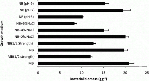 Figure 1.  Fresh biomass of OG isolate produced in NB and MB 2216 at 48 h of incubation at 27°C with constant agitation.