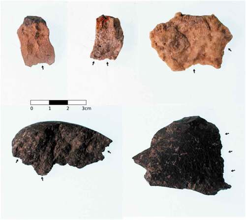 Figure 11. Basalt and chert tools with macroscopic usewear present on one or more edges.