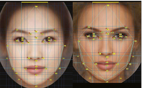 Figure 3 Frontal landmarks Asian (left) and Caucasian (right) attractive faces. Reproduced from Rhee SC. Differences between Caucasian and Asian attractive faces. Skin Res Technol. 2018;24(1):73–79. © 2017 John Wiley & Sons A/S. Published by John Wiley & Sons Ltd.Citation12