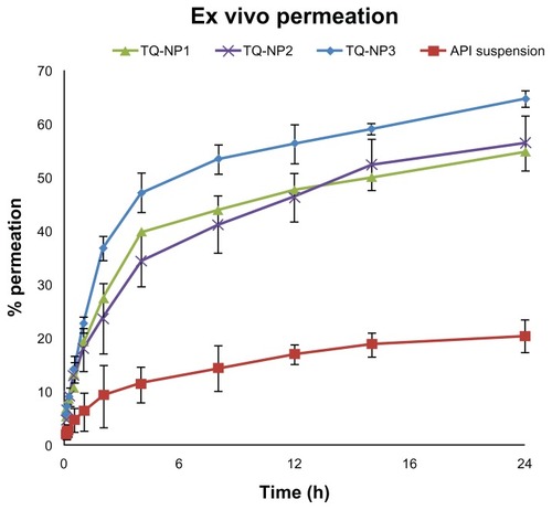 Figure 6 Ex vivo permeation of nanoparticles using porcine nasal mucosa.