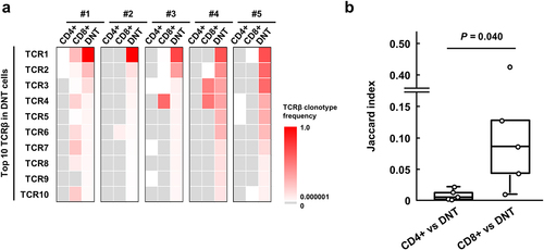 Figure 2. Comparison of TCRβ repertoire among CD4+, CD8+ and double-negative T (DNT) cells in colorectal cancer (CRC) tissues.