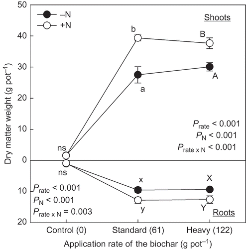 Figure 2 Dry matter weight of shoots and roots of the plants grown at different application rates of biochar derived from dead cattle. Application rate as phosphorus (P) from the biochar to control, standard and heavy treatments was 0.0, 6.6 and 13.2 g pot−1, respectively. Nitrogen (N) application rate was 0.5 g pot−1. Different letters within the same application rate of the biochar show significant difference between the N application treatments (without N, –N and with N, +N) by Tukey test (P < 0.05). ns, no significant difference. Error bars represent standard deviation (n = 3).