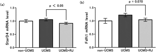 Figure 4. Changes in gene expression related to cholesterol metabolism in the adrenal grand.Expression level of StarD4 mRNA (a) and Fdft1 mRNA (b) were expressed relative to the mean value of the non-UCMS group. Data represent the means ± standard error of the mean (SEM) (n = 10). The level of mRNA expression was normalized to that of the housekeeping gene β-actin. (a) p < 0.05 UCMS vs. UCMS+RJ by Student’s t-test; (b) p = 0.070 UCMS vs. UCMS+RJ by Student’s t-test, and as a reference, p = 0.078 UCMS vs. non-UCMS by Student’s t-test.